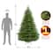 7.5ft. Unlit Norway Fir Artificial Christmas Tree
